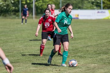 Bild 368 - F SG NieBar - IF Stjernen Flensborg : Ergebnis: 2:0